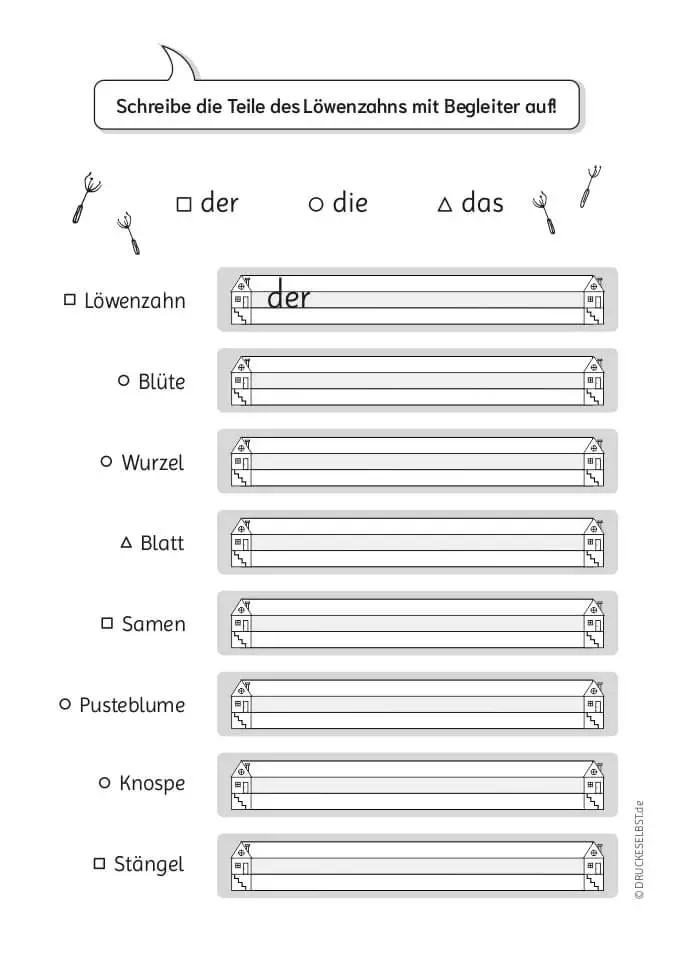 Arbeitsblätter zu Begleitern der, die, das