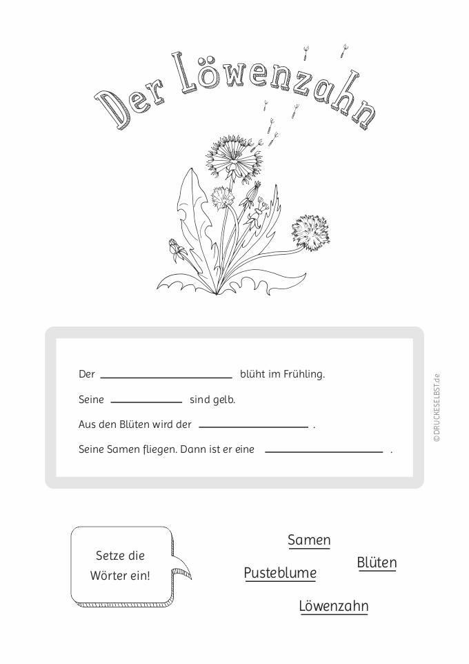 Arbeitsblatt: Löwenzahn Lückentext